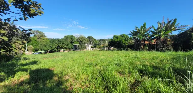 Fazenda / Sítio / Chácara à venda, 1500m² no , Nerópolis