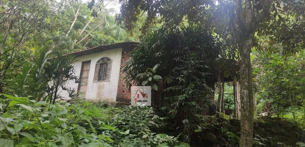 Fazenda / Sítio / Chácara com 2 Quartos à venda, 5000m² no Serra de Mato Grosso (Sampaio Correia), Saquarema