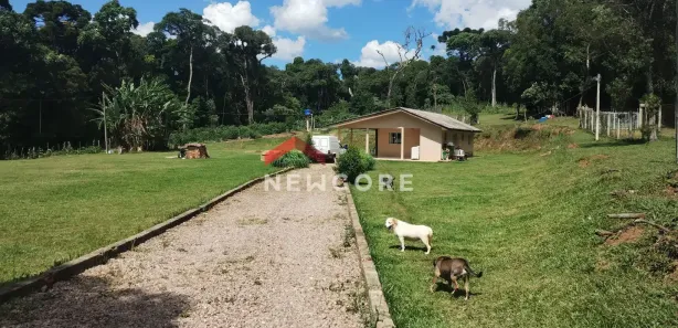 Fazenda / Sítio / Chácara com 2 Quartos à venda, 120m² no Campestre da Faxina, São José dos Pinhais