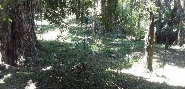 Terreno / Lote / Condomínio à venda, 990m² no Rocio Pequeno, São Francisco do Sul