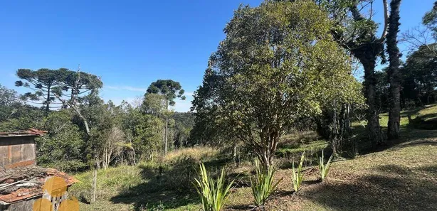 Fazenda / Sítio / Chácara com 2 Quartos à venda, 60m² no , Lapa