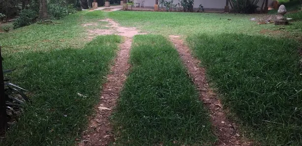 Fazenda / Sítio / Chácara com 3 Quartos à venda, 150m² no Chácara Primavera, Sumaré