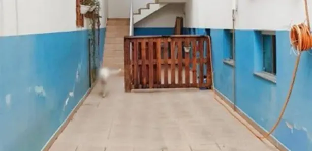 Prédio Inteiro com 3 Quartos à venda, 399m² no Centro, Atibaia