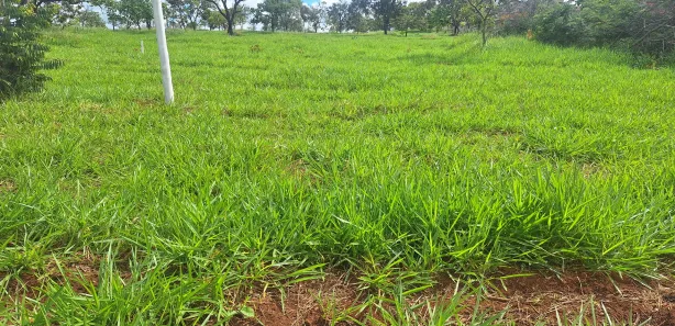 Terreno / Lote / Condomínio à venda, 370m² no Felipe Cláudio de Sales, Pedro Leopoldo