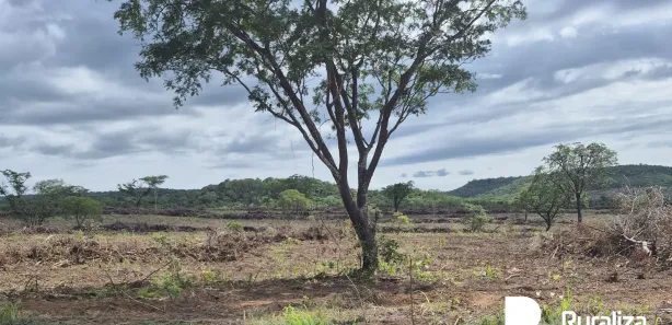Fazenda / Sítio / Chácara à venda, 474m² no , Rio Sono