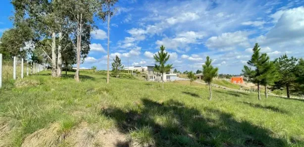 Terreno / Lote / Condomínio à venda, 3786m² no Loteamento Bosque Merhy, Quatro Barras