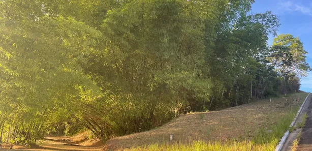 Terreno / Lote / Condomínio à venda, 435m² no Catu de Abrantes (Abrantes), Camaçari