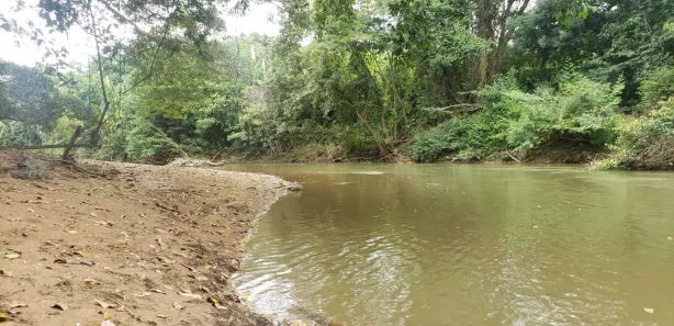 Fazenda / Sítio / Chácara à venda, 690m² no , Padre Bernardo