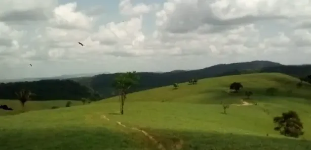 Fazenda / Sítio / Chácara à venda, 12900000m² no , São José da Laje