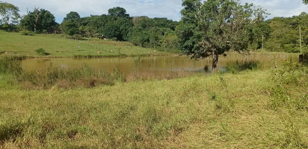 Fazenda / Sítio / Chácara à venda, 170500m² no Jardim Lago Azul, Novo Gama