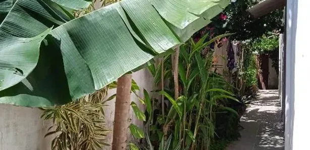 Hotel / Motel / Pousada com 4 Quartos à venda, 135m² no , Tibau do Sul