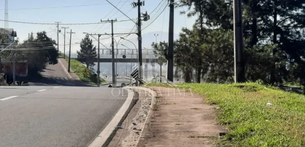 Galpão / Depósito / Armazém para alugar, 160m² no Jardim Paulista, Campina Grande do Sul