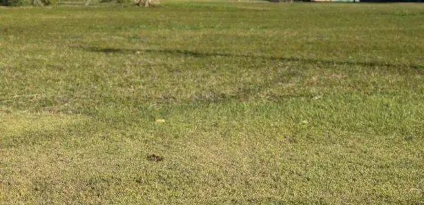 Terreno / Lote / Condomínio à venda, 801m² no Paranagi, Sertaneja