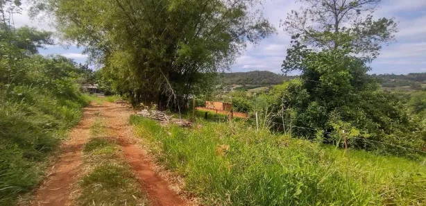 Terreno / Lote / Condomínio à venda, 2950m² no Condomínio Horizontal Marajoara, Ibiporã