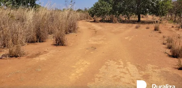 Fazenda / Sítio / Chácara à venda, 600m² no , Paraíso do Tocantins