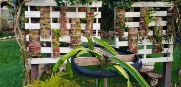 Fazenda / Sítio / Chácara com 2 Quartos à venda, 70m² no Área Rural de Sumaré, Sumaré