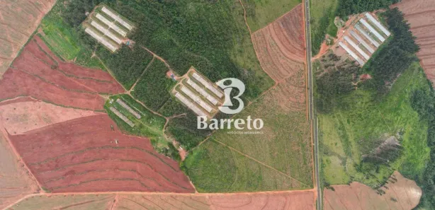 Terreno / Lote / Condomínio à venda, 444070m² no , Sabáudia