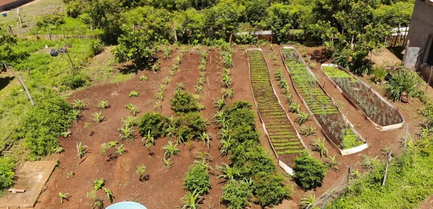 Fazenda / Sítio / Chácara com 3 Quartos à venda, 124000000m² no Centro, Campo Maior