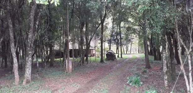 Fazenda / Sítio / Chácara à venda, 48800m² no Rondinha, Campo Largo