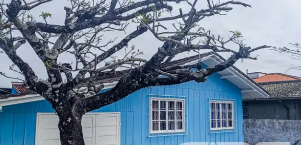 Casa com 3 Quartos à venda, 69m² no Do Ubatuba, São Francisco do Sul