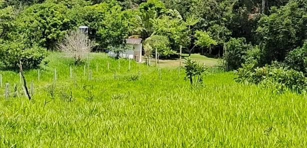 Fazenda / Sítio / Chácara com 3 Quartos à venda, 200000m² no Área Rural de Formosa, Formosa