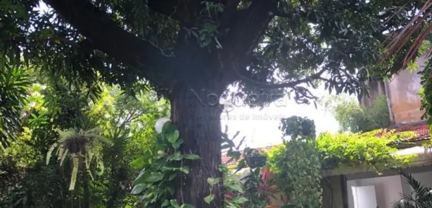 Sobrado com 6 Quartos à venda, 325m² no Santo Amaro, Recife