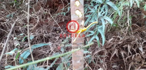 Terreno / Lote / Condomínio à venda, 1510m² no , Santa Branca
