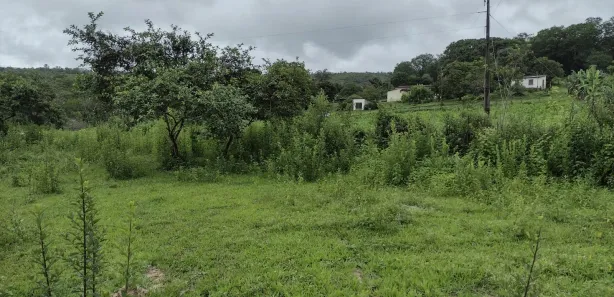 Terreno / Lote / Condomínio à venda, 20000m² no Zona Rural, Fortuna de Minas