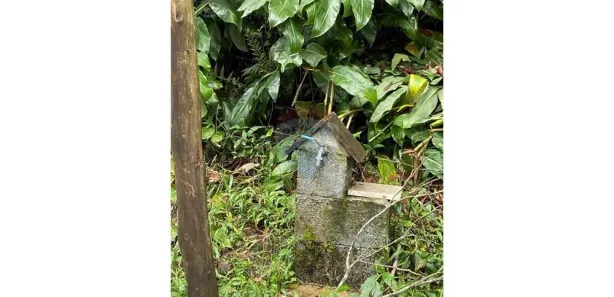 Terreno / Lote / Condomínio à venda, 2530m² no Quarteirão Ingelheim, Petrópolis