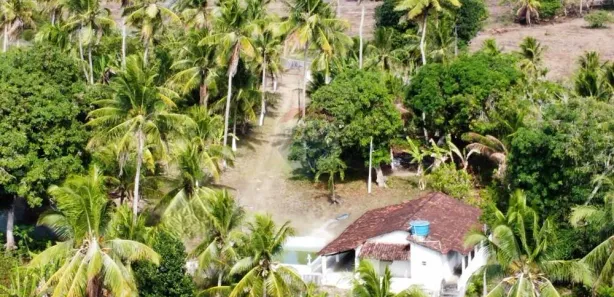 Fazenda / Sítio / Chácara com 2 Quartos à venda, 166999m² no Mituaçu, Conde