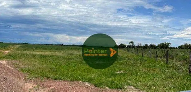 Fazenda / Sítio / Chácara à venda, 2740000m² no Área Rural de Gurupi, Gurupi