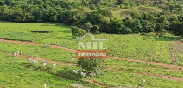 Fazenda / Sítio / Chácara à venda, 700000000m² no , Padre Bernardo
