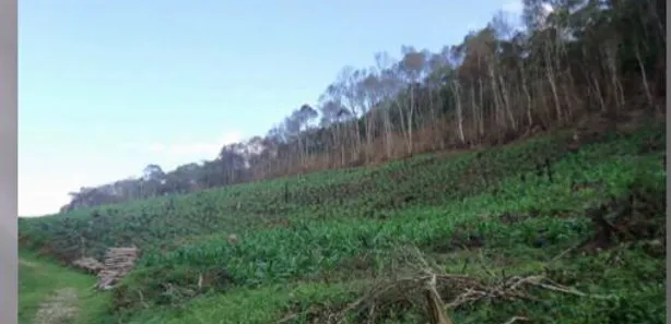 Fazenda / Sítio / Chácara à venda, 919600000m² no , Rio Branco do Sul