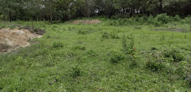 Terreno / Lote / Condomínio à venda, 20000m² no , Fortuna de Minas