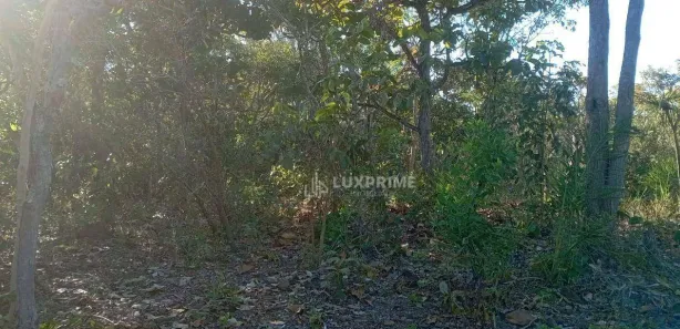 Fazenda / Sítio / Chácara à venda, 1190278m² no Jardim Brasilia I, Ponte Alta do Tocantins