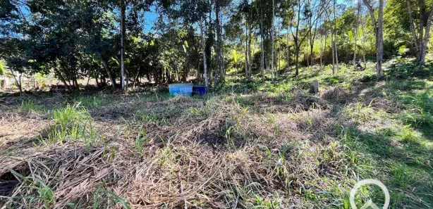 Terreno / Lote / Condomínio à venda, 3413m² no Bom Jardim, Bom Jardim