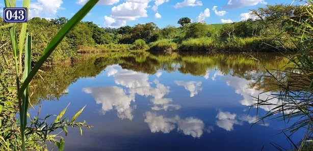 Terreno / Lote / Condomínio à venda, 208000m² no Rodovia, Sertanópolis