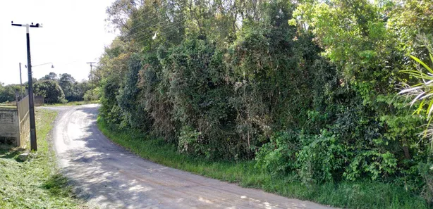 Terreno / Lote / Condomínio à venda, 96800m² no Rondinha, Campo Largo