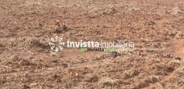 Fazenda / Sítio / Chácara à venda, 131m² no Jardim Paulista, Paraíso do Tocantins