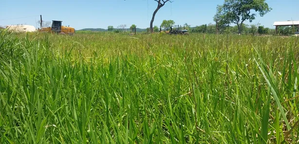 Fazenda / Sítio / Chácara com 3 Quartos à venda, 700000m² no , Anastácio