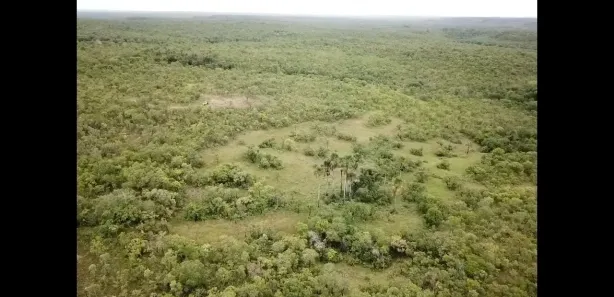 Fazenda / Sítio / Chácara à venda, 2613600m² no , Ponte Alta do Tocantins