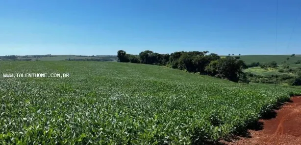Terreno / Lote Comercial à venda, 192000m² no , Uraí