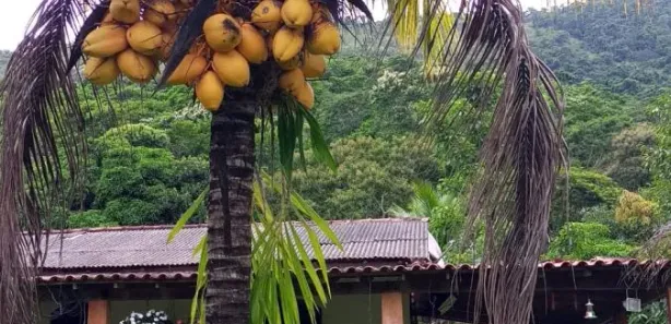Fazenda / Sítio / Chácara com 3 Quartos à venda, 16945m² no Sampaio Correia (Sampaio Correia), Saquarema