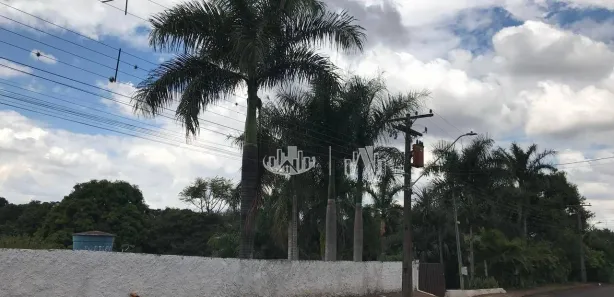 Fazenda / Sítio / Chácara com 4 Quartos à venda, 700m² no Chácaras Cambé Londrina, Cambé