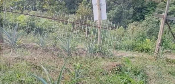 Terreno / Lote / Condomínio à venda, 400m² no , Águas Mornas