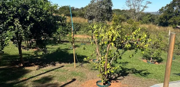 Casa de Condomínio com 4 Quartos à venda, 350m² no Centro, Corumbá de Goiás