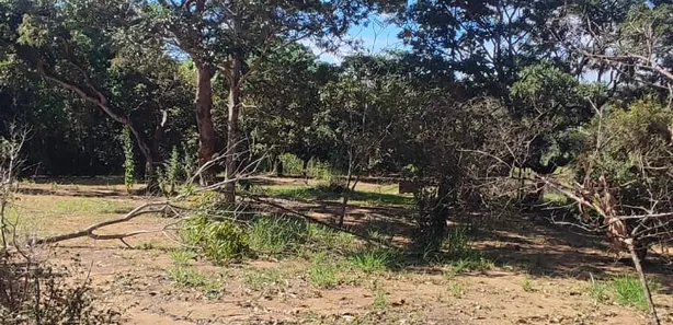 Fazenda / Sítio / Chácara com 1 Quarto à venda, 10000m² no Chácaras Ipanema, Valparaíso de Goiás