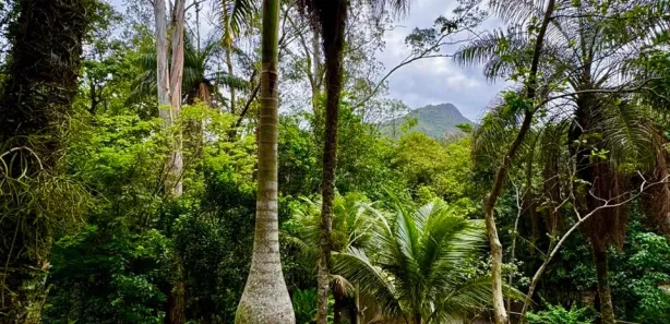 Fazenda / Sítio / Chácara com 3 Quartos à venda, 300m² no Jacarepaguá, Rio de Janeiro