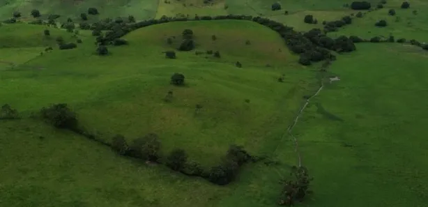 Fazenda / Sítio / Chácara à venda, 2265000m² no , São José da Laje