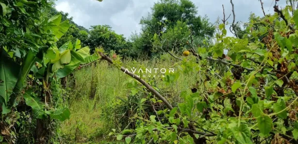 Terreno / Lote / Condomínio à venda, 364m² no Nossa Senhora do Perpétuo Socorro, Santa Maria